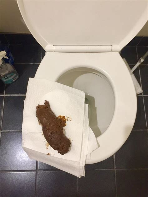 porn poops